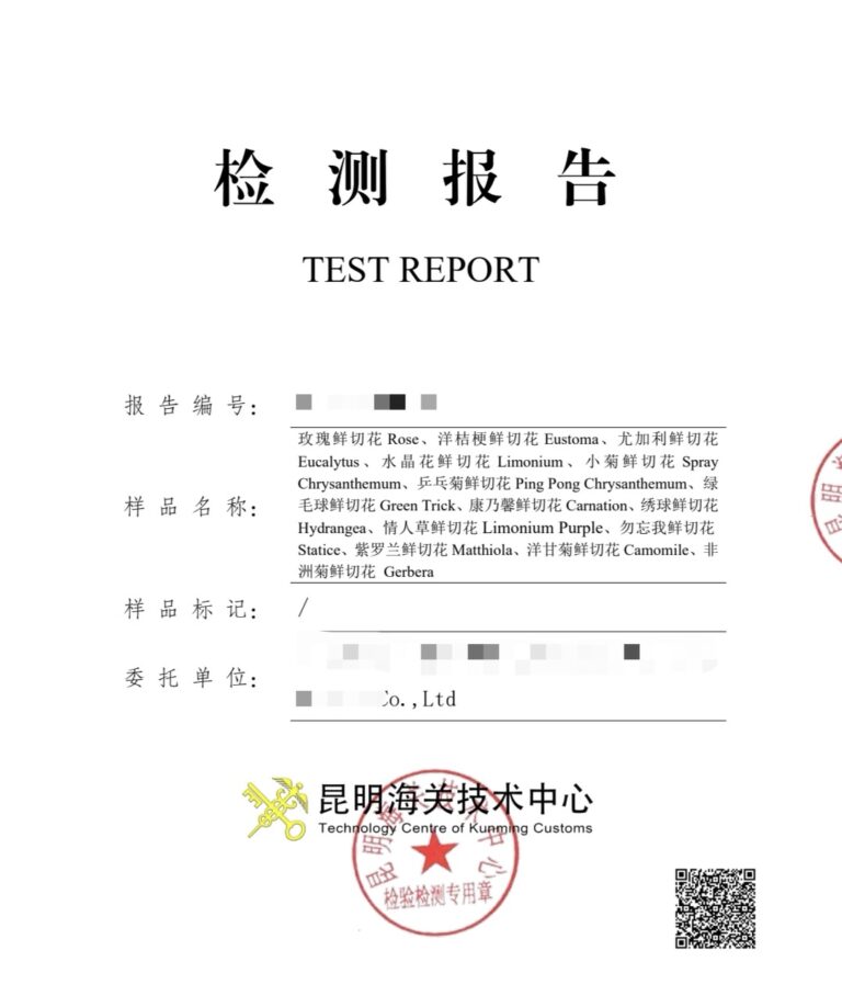 报检