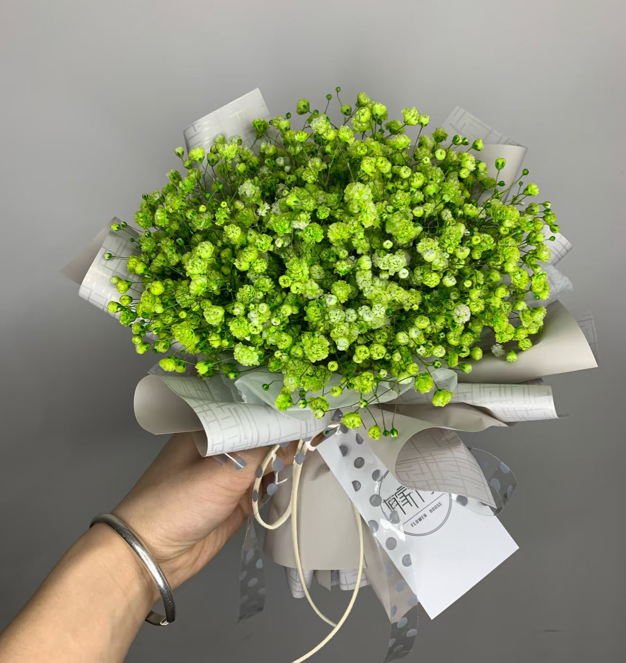 Green Gypsophila