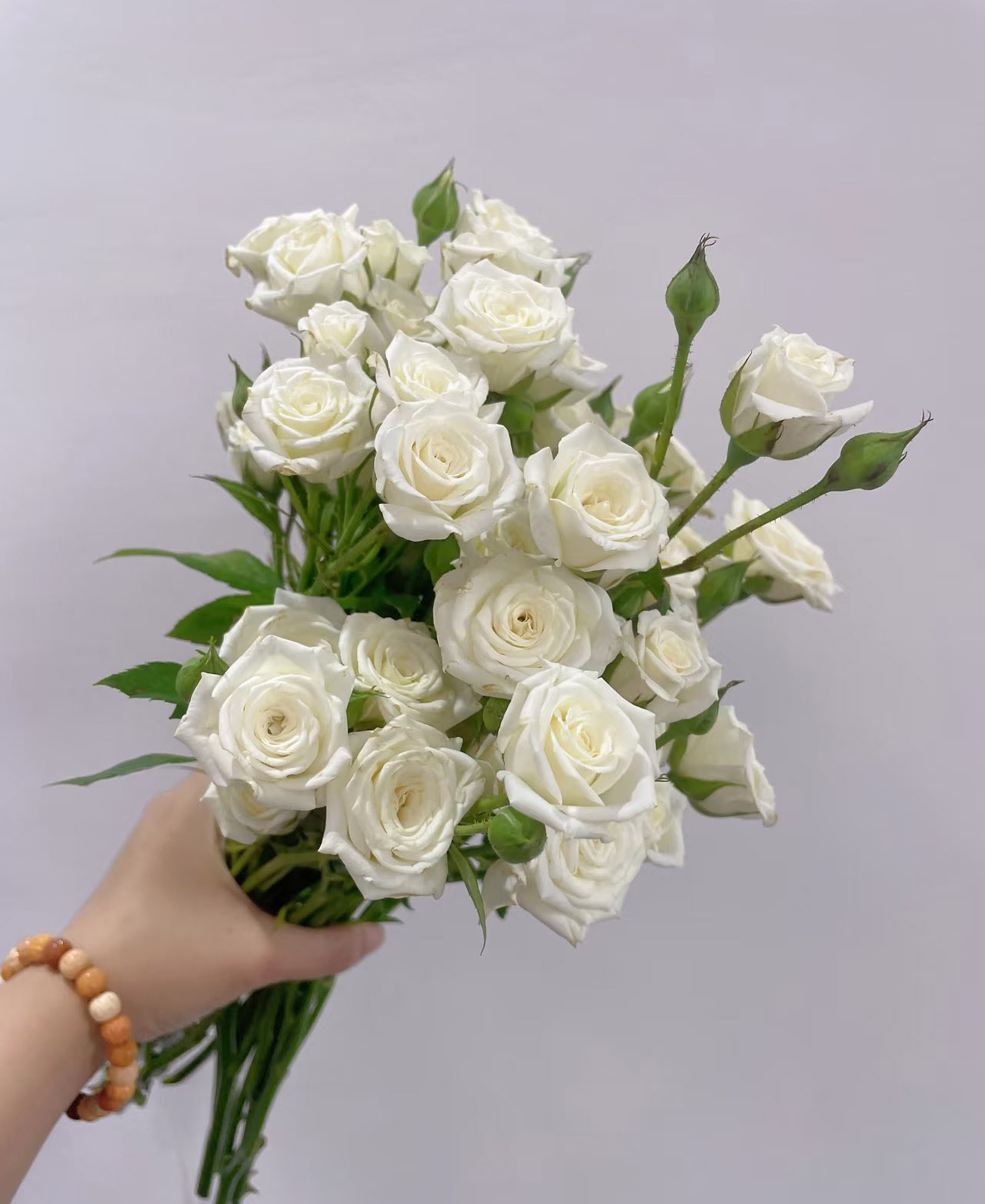 White Spray Rose