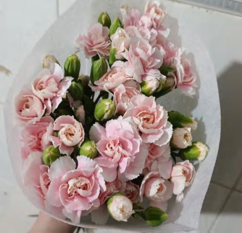 Light Pink