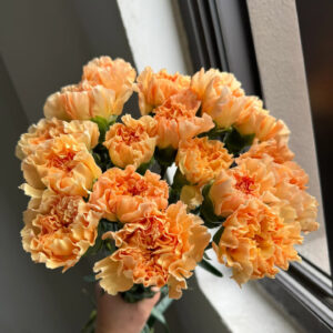 Гвоздика оранжевая оптом 60 см из Китая