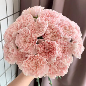 Гвоздика розовая оптом 60 см из Китая