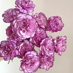 Гвоздика сиреневая оптом 60 см из Китая
