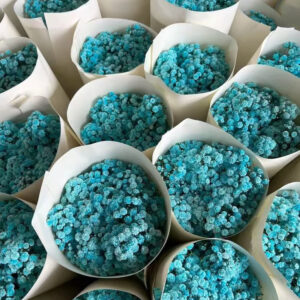 Гипсофила синяя оптом из Китая