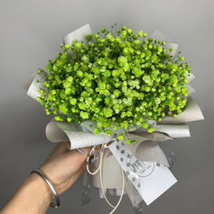 Гипсофила зелёная оптом из Китая