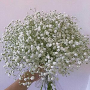 Гипсофила белая оптом из Китая